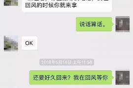 大埔如果欠债的人消失了怎么查找，专业讨债公司的找人方法